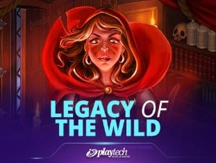 Legacy Of The Wild game icon